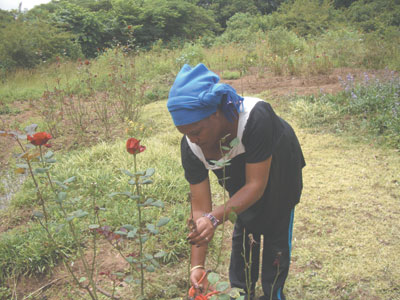 Farmer