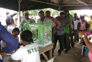 nasselection