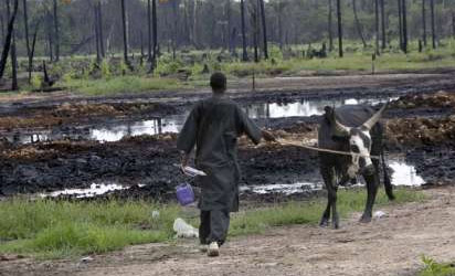 Ravaged Ogoniland