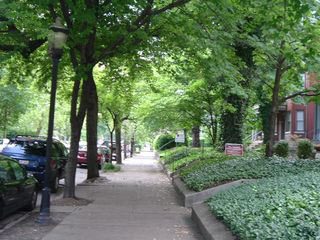 trees-pix-1