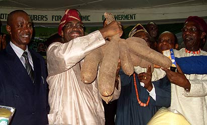 *Minister of Agric & Rural Development, Dr. Akin Adesina, with a sample of the pro-vitamin A cassava roots at the launch of the pro-Vitamin A cassava varieties and their assorted products last week, at the National Root Crops Research Institute, NRCRI, Umudike.