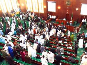 House of Representatives during plenary
