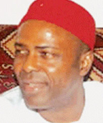 Onu: ANPP chairman