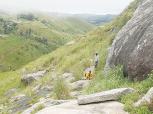 Mambilla Plateau