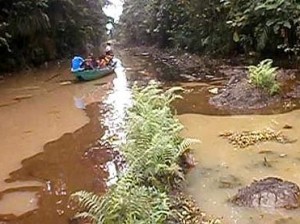 *Oil-impacted Ikeinghenbiri creek