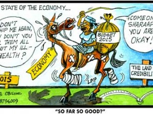 2015-BUDGET