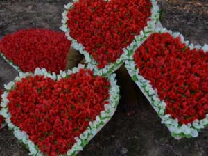 Love1