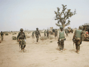 sambisa-1