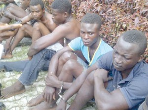 *Some of the suspects