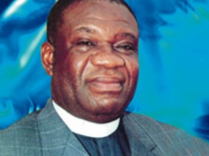 Minister-of-Power-Prof.-Chinedu-Nebo-