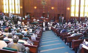 *House of Representatives members in session