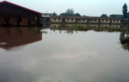 Day2-flood