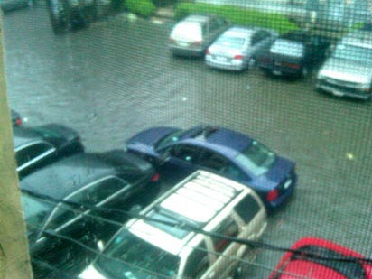 Flood-dolphin-estate