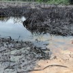 Oil spill: NPA commences clean up of Onne port channel