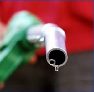 Oil