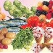 Nic’s Butchery partners CCD Superstores to promote healthy lifestyle