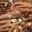 Nike Akande, others recommend cassava industrialisation as the way forward