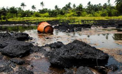 File photo: Damaged ecosystem from oil spill