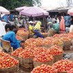 Prices of major foodstuffs in South-West markets increase by 100 percent