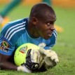 Lille release Enyeama