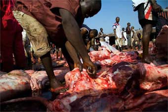 Lagos butchers