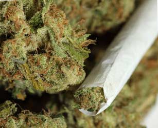 marijuana
