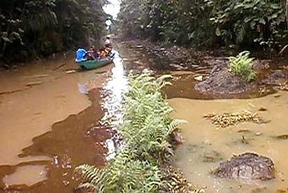 *Oil-impacted Ikeinghenbiri creek