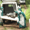 Congo records 13 new cases of Ebola