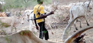 Fulani-herdsman