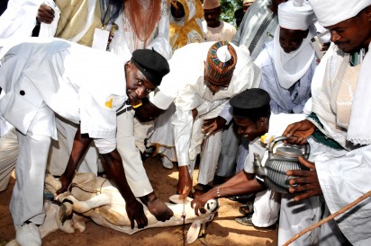 PRESIDENT MUHHAMADU BUHARI (M) SLAUGHTERING A RAM FOR THE EID-EL-KABIR CELEBRATION AT THE DAURA EID PRAYING GROUND IN KATSINA STATE ON THURSDAY (24/9/15).