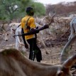 “Over 3,641 killed in Benue by armed herdsmen”