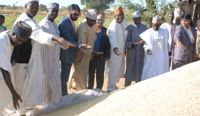Chairman of Pearl Universal Impex Limited, Pulkit Jain, the new Emir of Borgu, Muhammed Sani Haliru Dantoro, Independent Director, Pearl Universal Impex , Kamal Pandey; Jubril Bokani Yeman, Consultant Community and Publishing Sector and Mr. Vaibhav Sinha, Accountant, Pearl Universal Impex at the first rice harvest ceremony of the Pearl Universal Impex Limited in Saminaka, Borgu LGA, Niger state recently. 