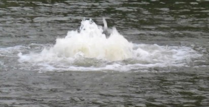 Oil spill: FG opens laboratory in Port Harcourt