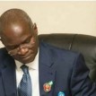 Provide facilities to protect FG’s 40% stake in Power sector – Fashola