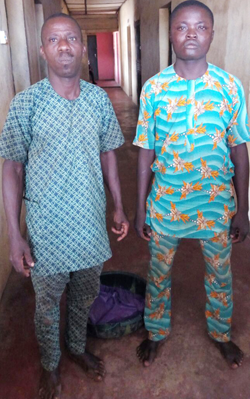 The suspects