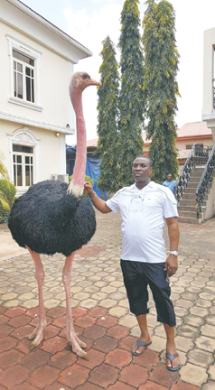 Wasiu Ayinde at his Ijebu Ode home