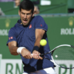 Djokovic aims to cut ‘gentle giant’ Del Potro down to size