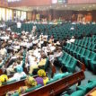 IYC, NDAN commends NASS for stopping IMC from defending NDDC budget