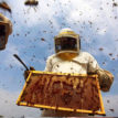 10 Nigerian women win N15m in 618 Bees competition
