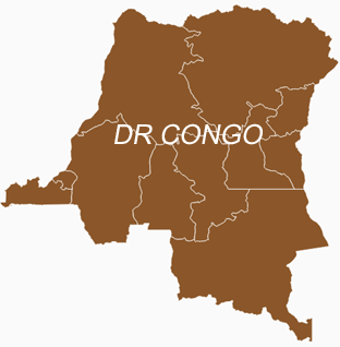DR Congo DR Congo gives EU 48 hours to withdraw envoy