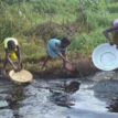 Inside Ogoni village where oil spill wipes off ‘10 persons every week’