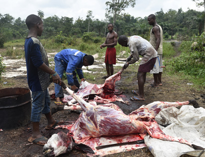Abattoirs