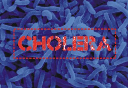 cholera2 e1513862647332 Cholera claims 3 in Gombe, 27 hospitalised