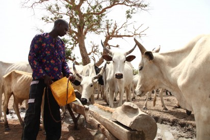 herdsmen, RUGA