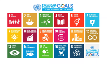 Let SDGs underpin COVID-19 economic recovery plans — Olawuyi