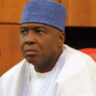 2023: We will bring prominent leaders, youths into PDP — Saraki
