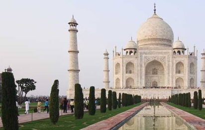 Taj Mahal Insects overrun India’s iconic Taj Mahal – Court