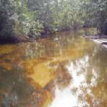 Contaminated lands, water: New major inquiry into oil spills in Niger Delta