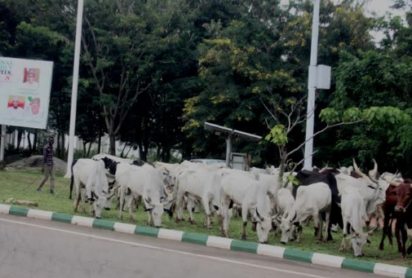 Screen Shot 2018 06 26 at 13.50.13 e1530017756548 Edo clerics oppose ceding of state land for cattle grazing