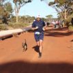 Dog finishes Australia half-marathon, wins medal